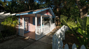 Bird of Paradise Deck 1