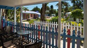 Bird of Paradise Deck 2