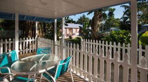 Bird of Paradise Deck 3