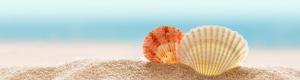 Captiva Island Inn Testimonials