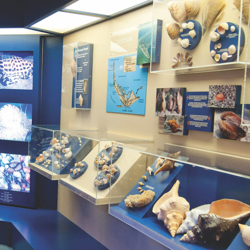 Things To Do On Captiva Island