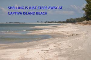 Shelling is a short Walk to Captiva Beach